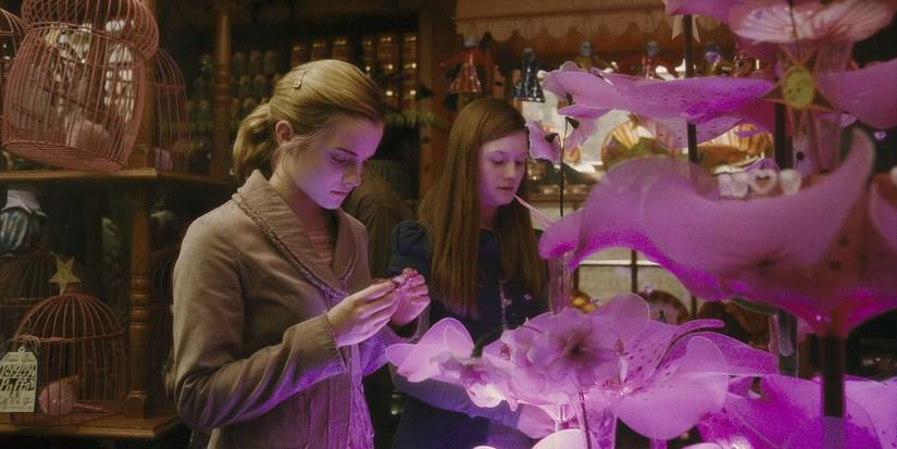 harry-potter-pygmy-puff-ginny-hermione