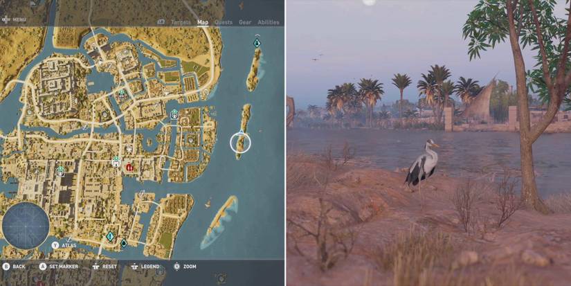 heron location ac origin