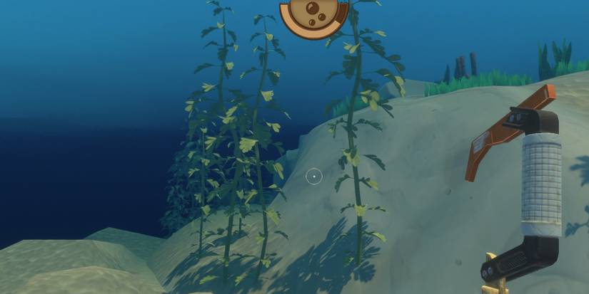 how to get seaweed in raft