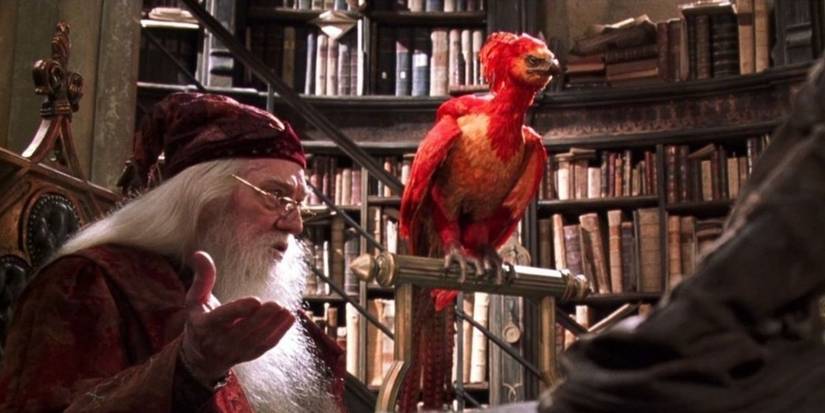 fawkes dumbledor harry potter