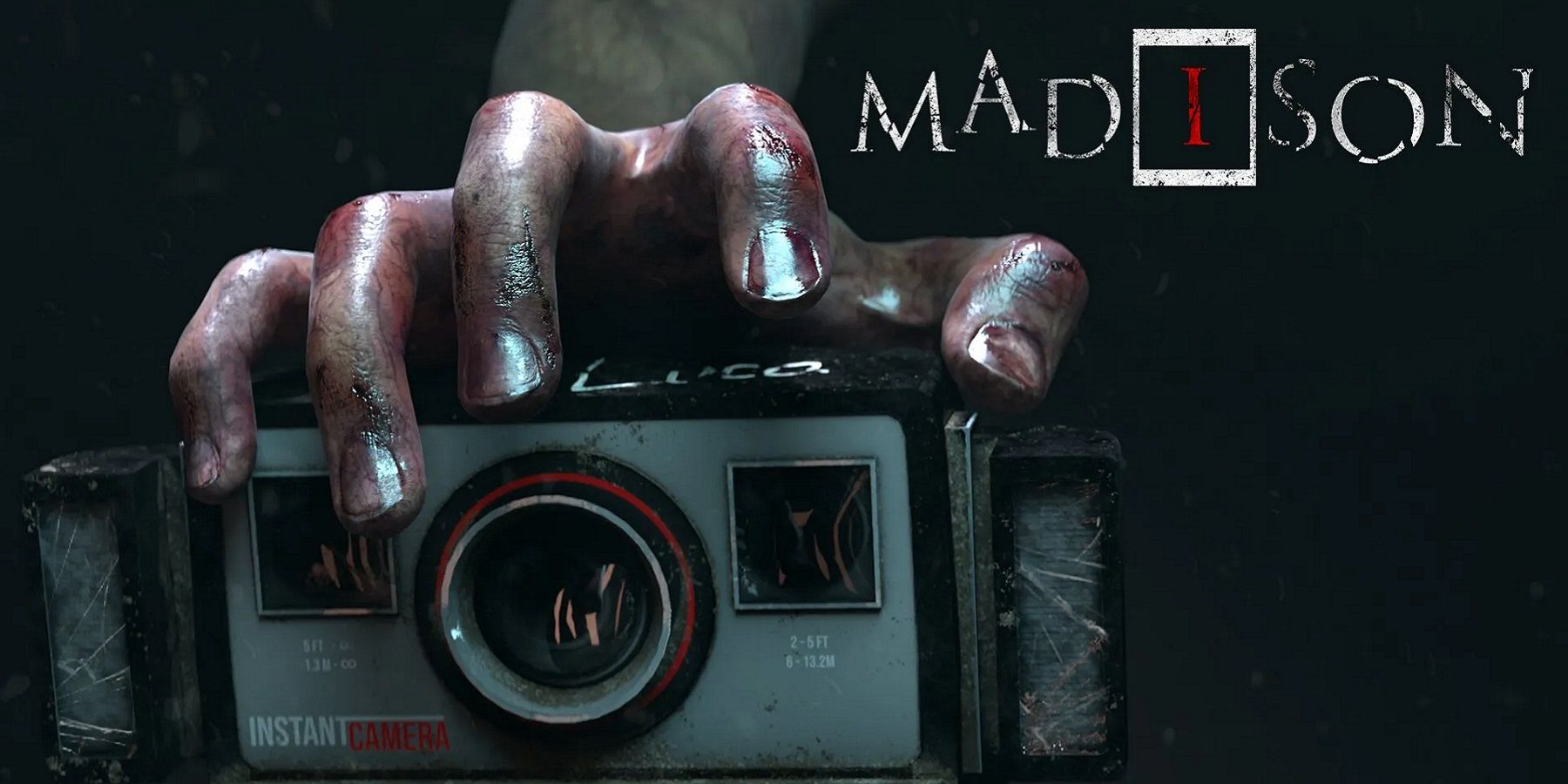 Image from Madison showing a bloody hand reaching for a camera.