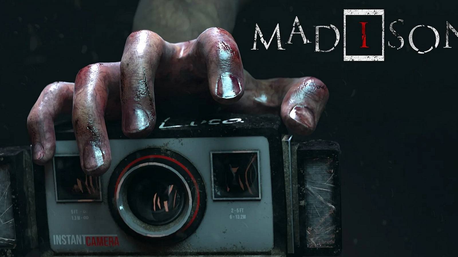 Image from Madison showing a bloody hand reaching for a camera.