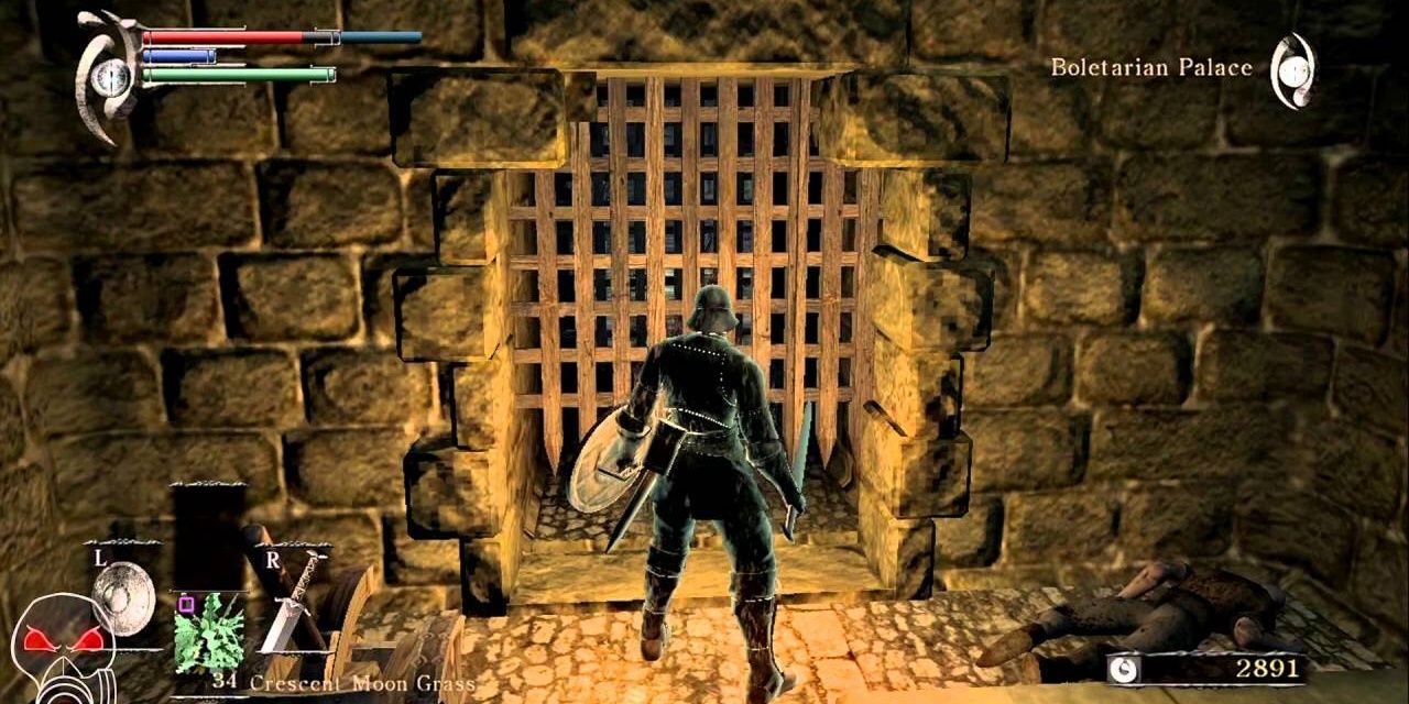 a closed gate at demon's souls (2011)