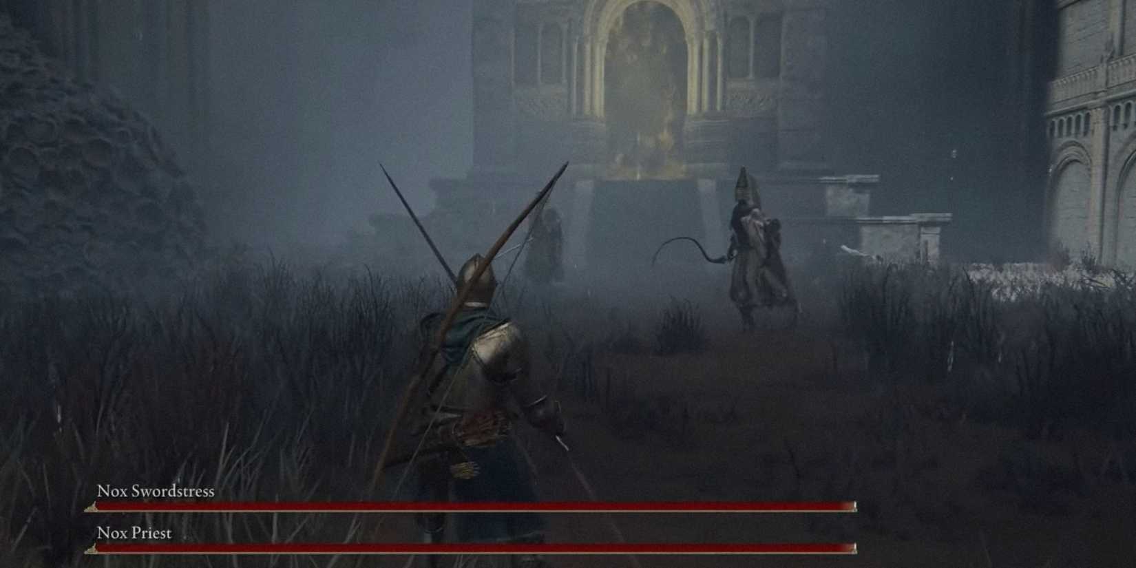 now swordstress and nox priest in elden ring