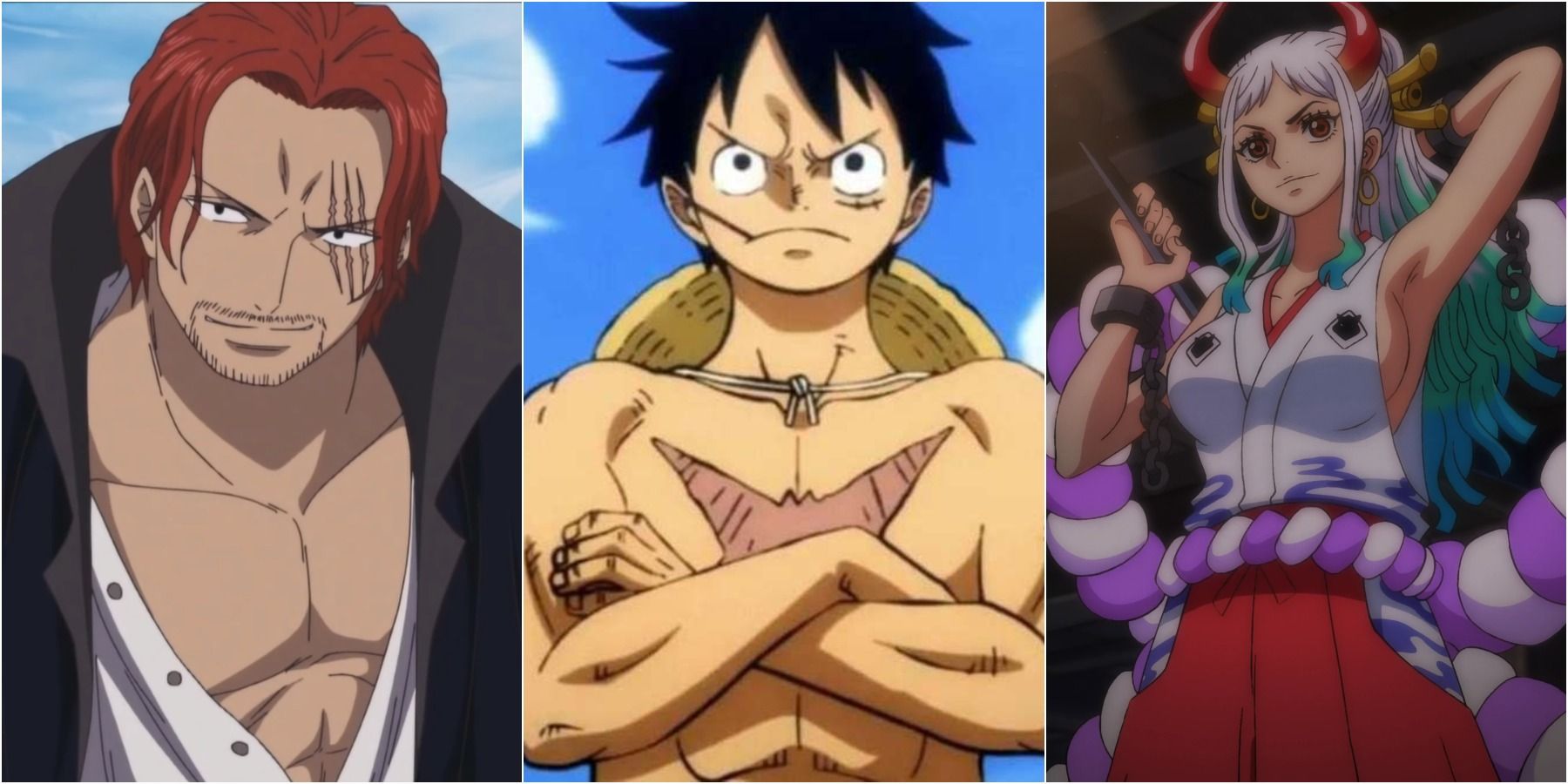 Production Of One Piece Anime Put On Hiatus  popgeekscom