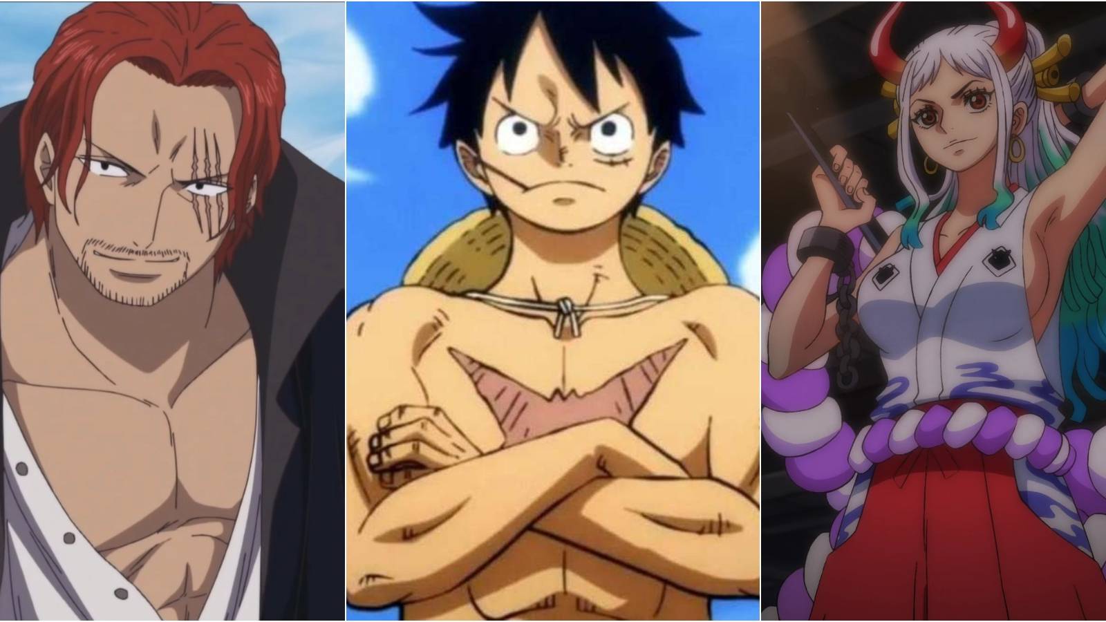 one-piece-hiatus-feature