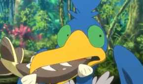 pokemon-journeys-cramorant