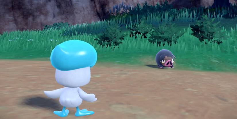 pokemon-scarlet-and-violet-lechonk-battle-quaxly-1