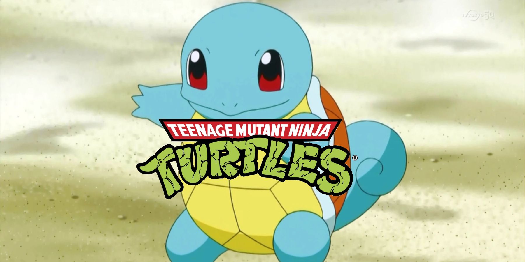 pokemon squirtle beach teenage mutant ninja turtles logo