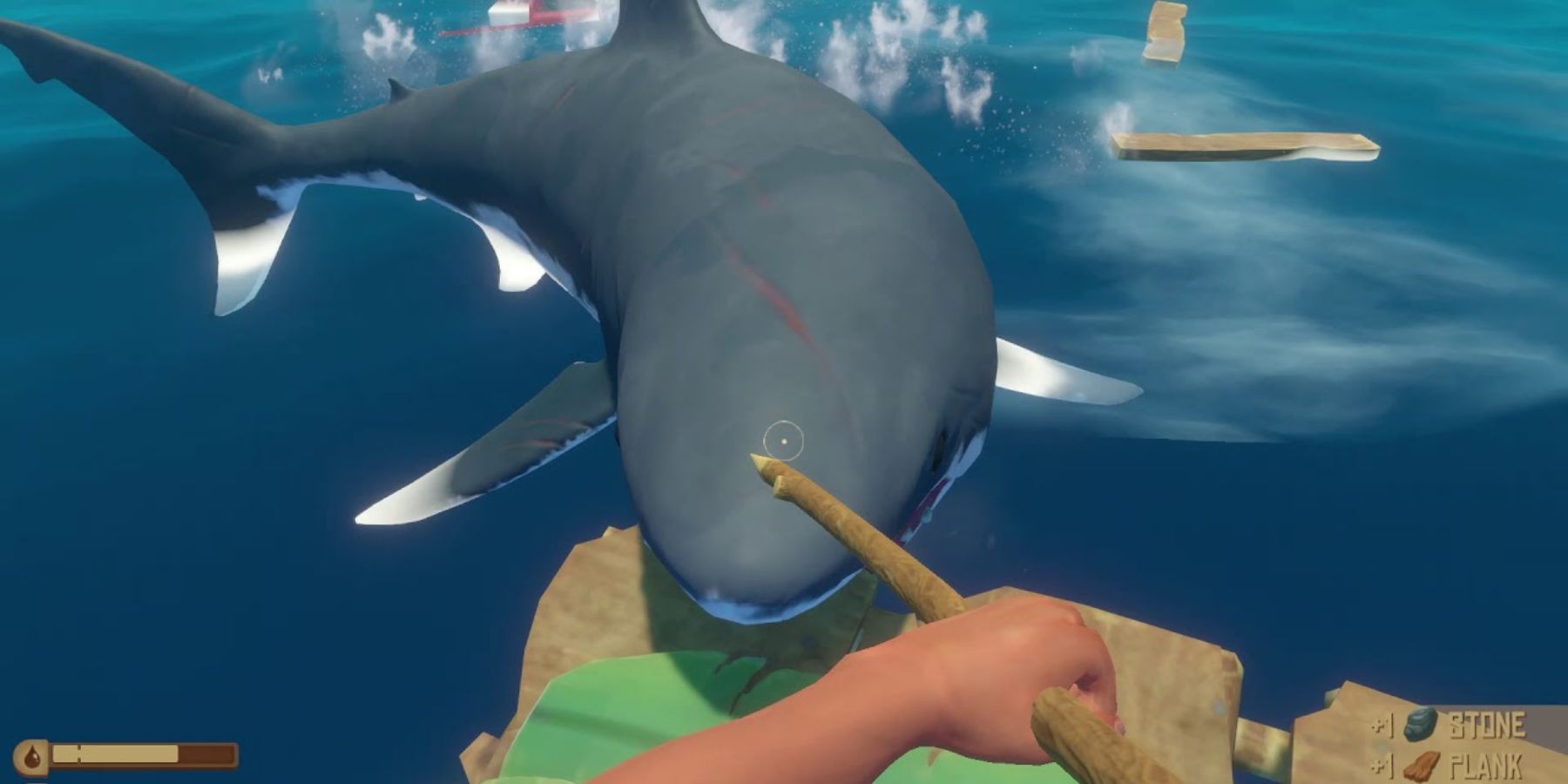 raft shark attack