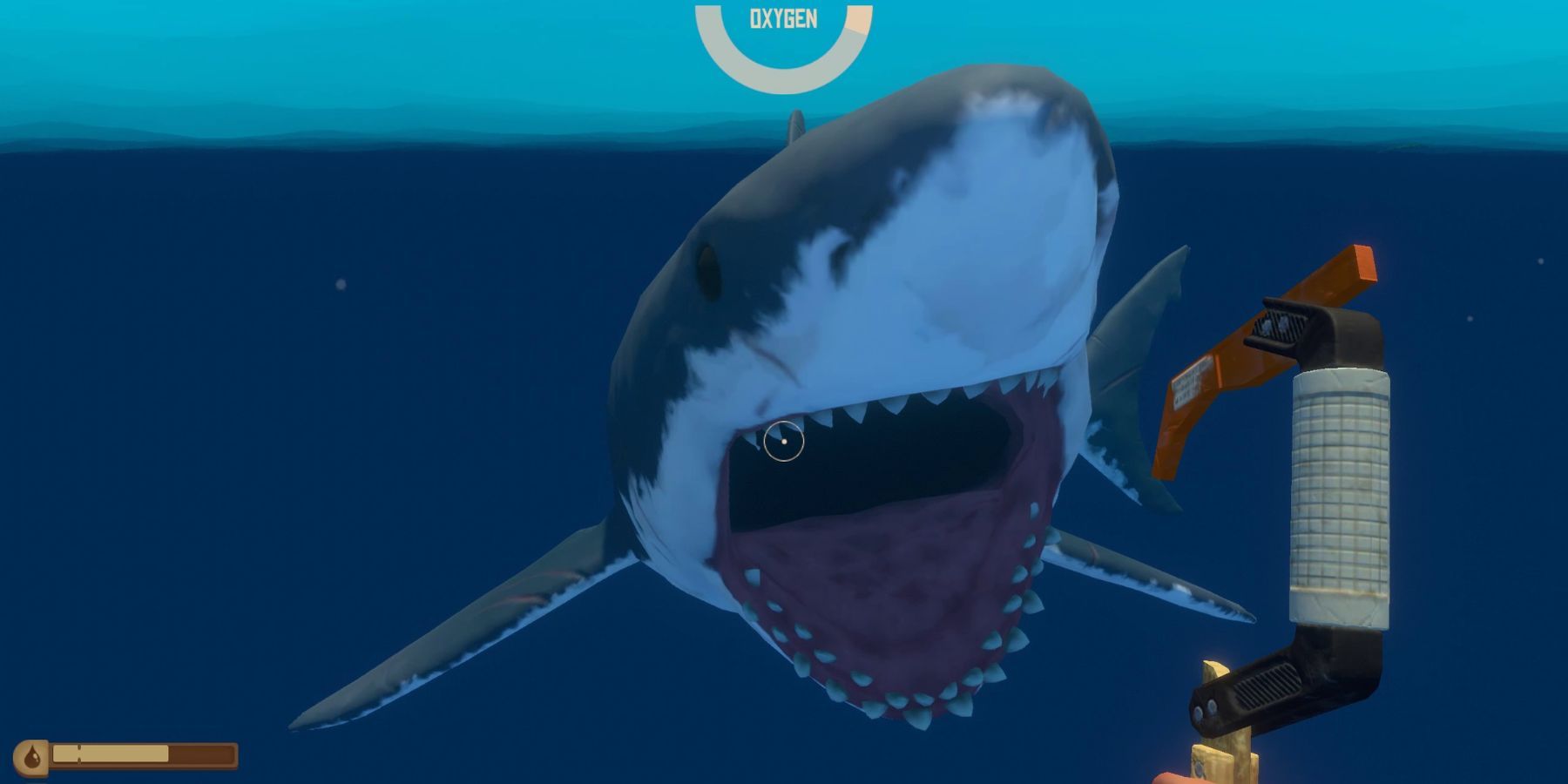 raft underwater shark attack
