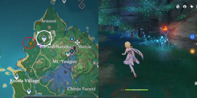 shinnojou location in Genshin impact