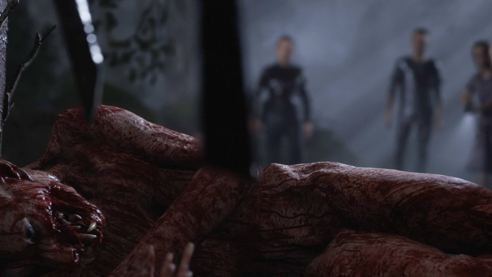 silas the white wolf in the quarry