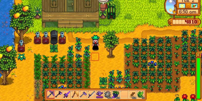 stardew-valley-update-1.5