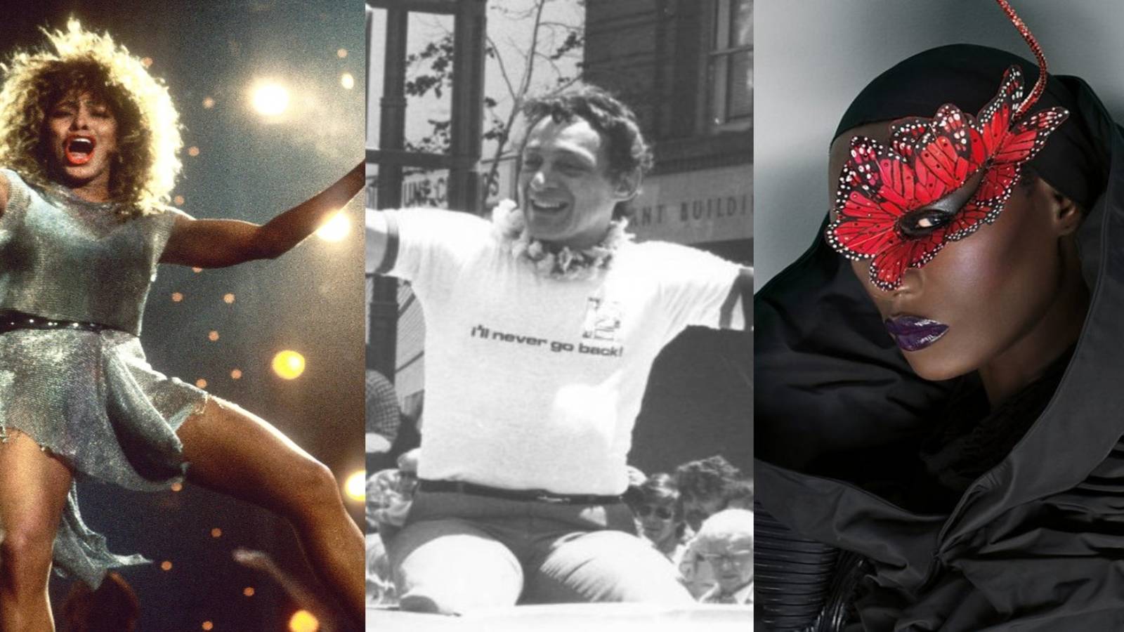 title split image HBO Max documentaries Tina Turner Harvey Milk Grace Jones