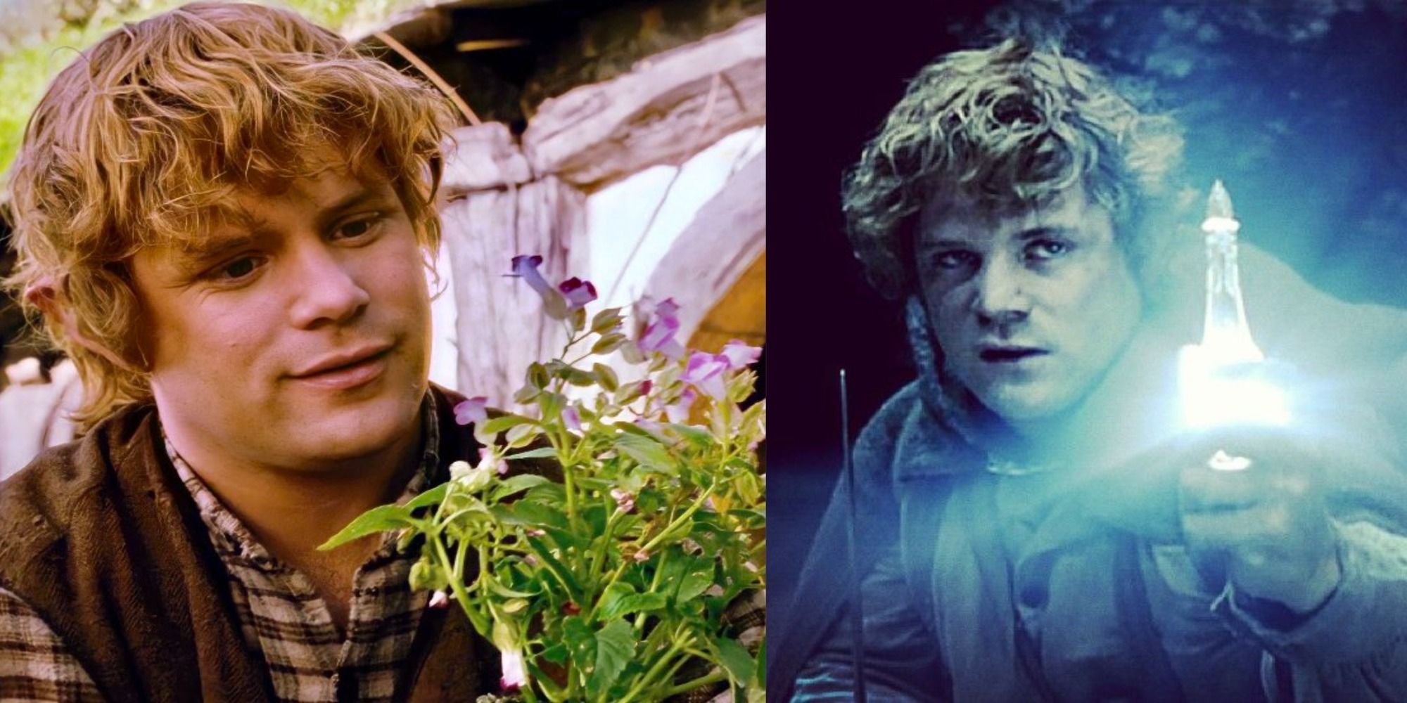 title split image samwise gamgee with flowers and the Light of Elendil