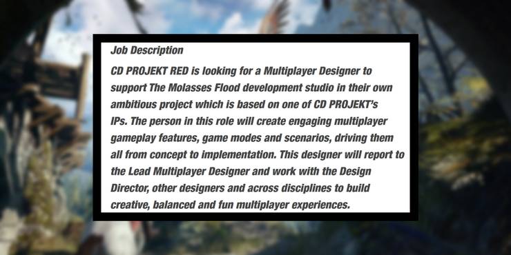 witcher-multiplayer-game-job-listing.jpg