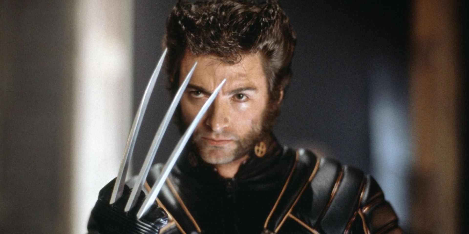 wolverine  Cropped