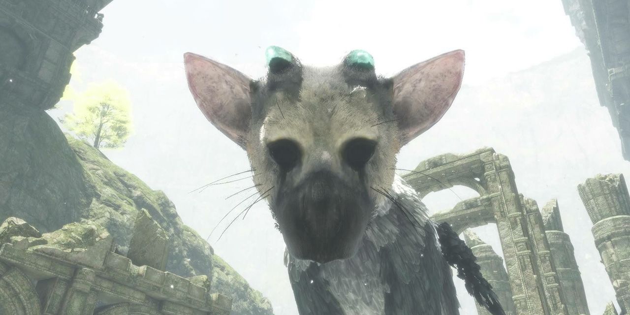 Trico