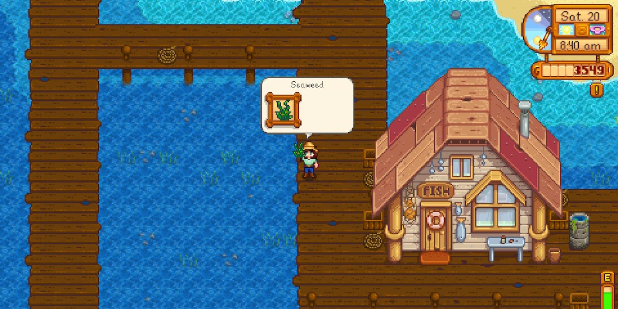 Fishing for seaweed in Stardew Valley