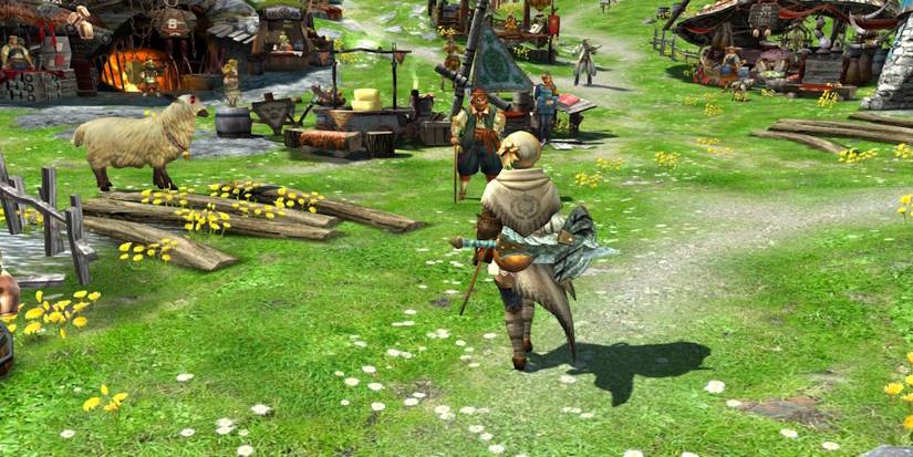 Exploring a town in Monster Hunter Generations