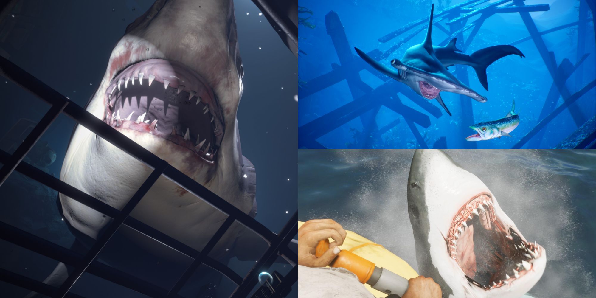 Most Realistic Sharks In Video Games⚔ Descubra a emoção dos jogos de ...