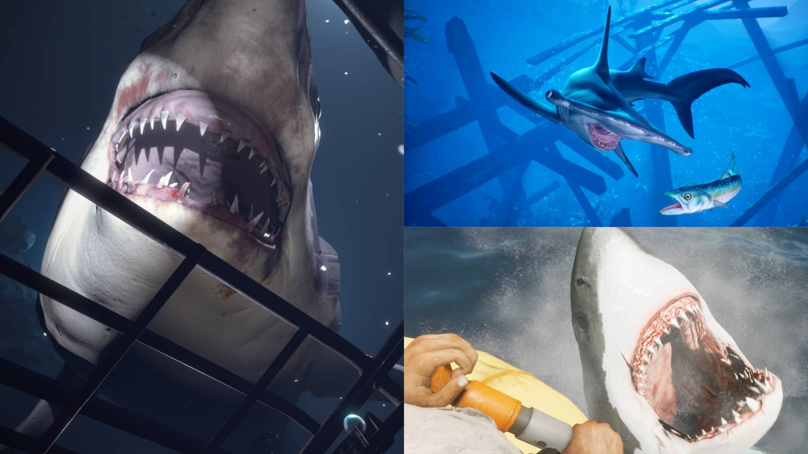 collage of sharks from maneater, stranded deep and ocean descent
