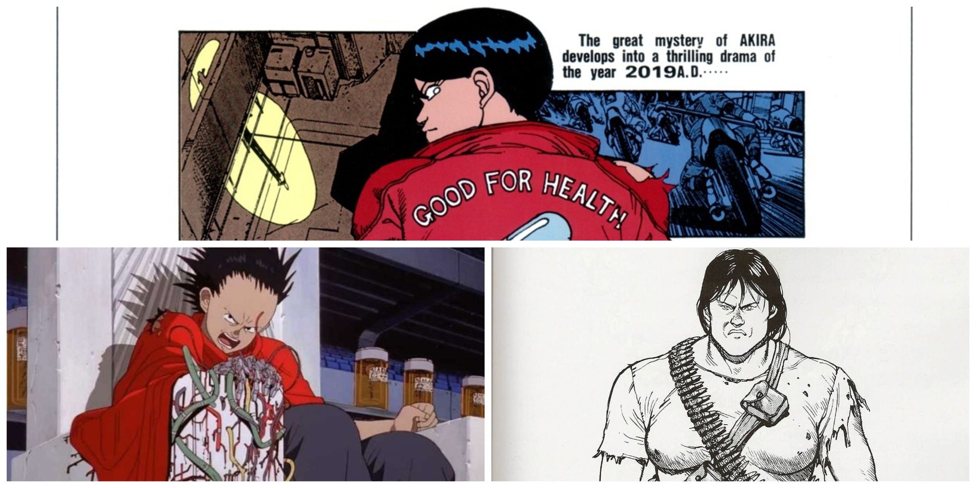 Akira 1988 film  Wikipedia