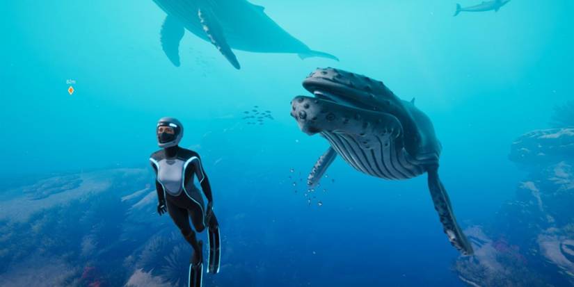 Diver and whales in Beyond Blue