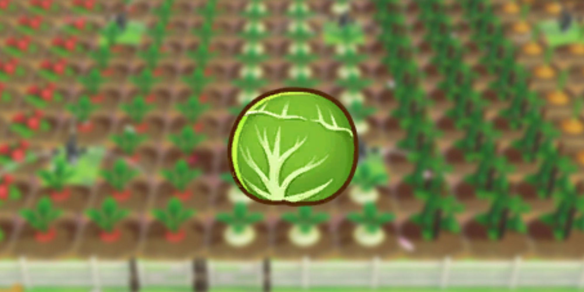 Cabbage icon as it would be seen in players inventory over blurred background of crops in game