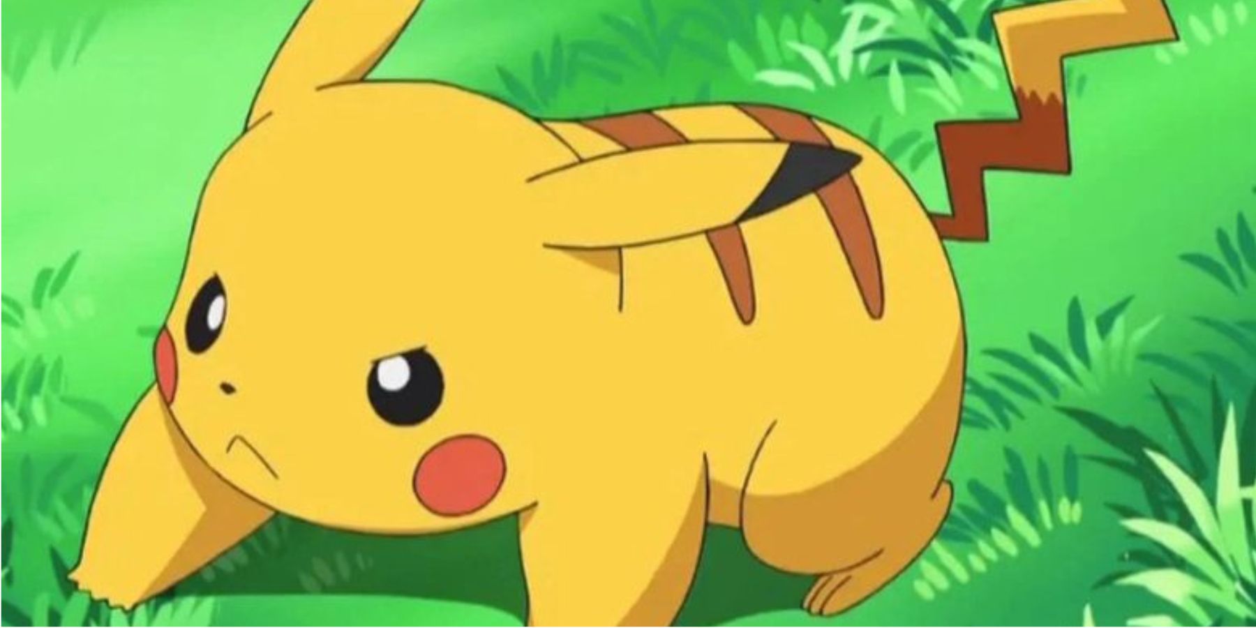 Pikachu in anime.