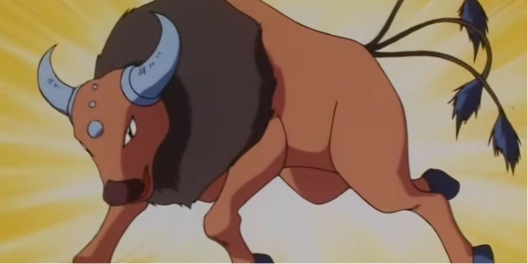 Tauros in Pokemon anime.