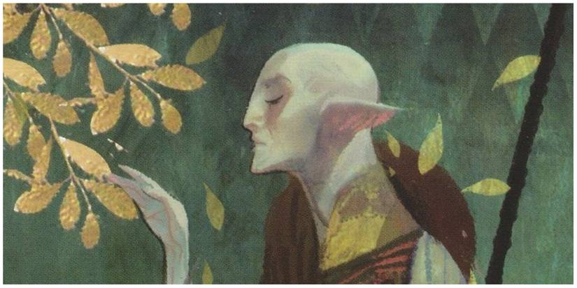 Solas' romance card.