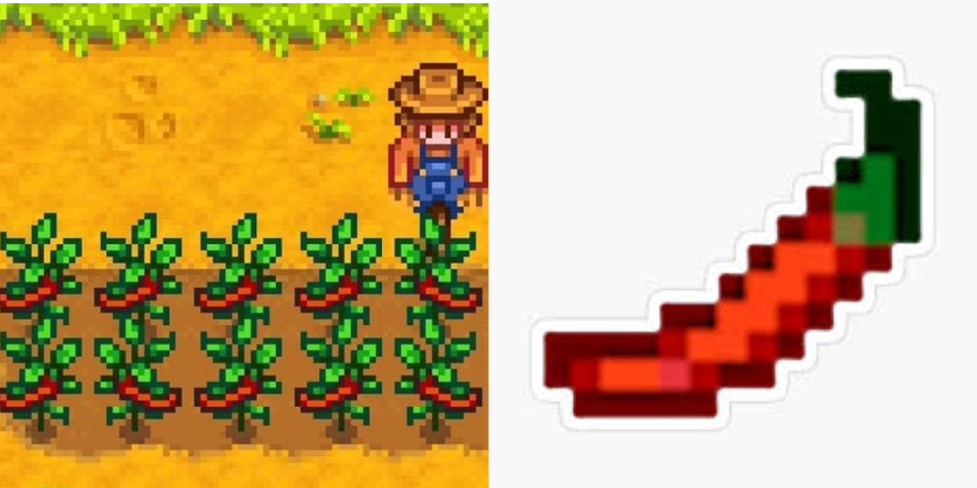 hot peppers in stardew valley 