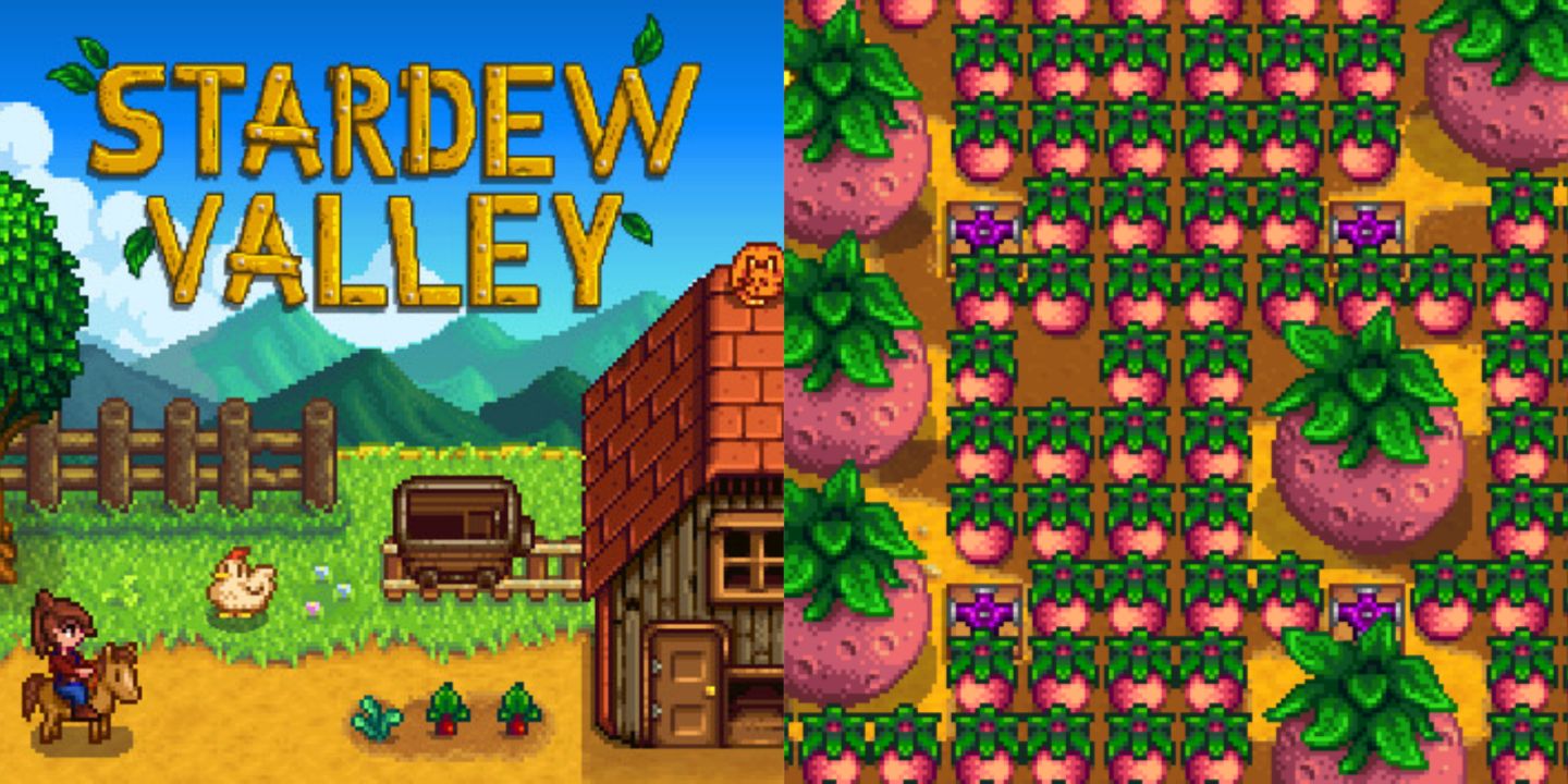 stardew valley title and melons in game 