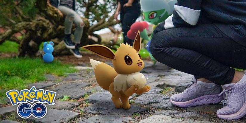 Eevee on path with human.