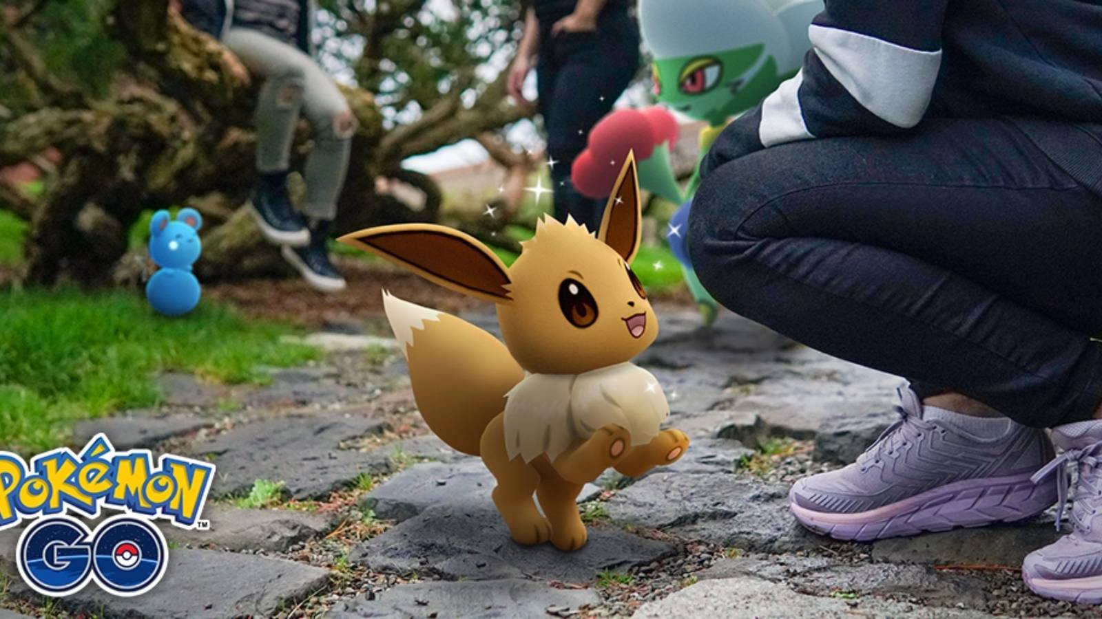 Eevee on path with human.