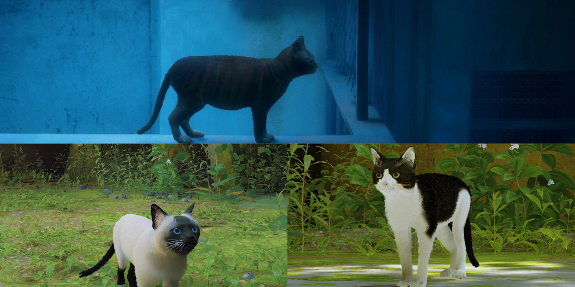 Different appearance cat mods for stray 