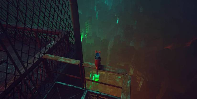 Cat looking over city.