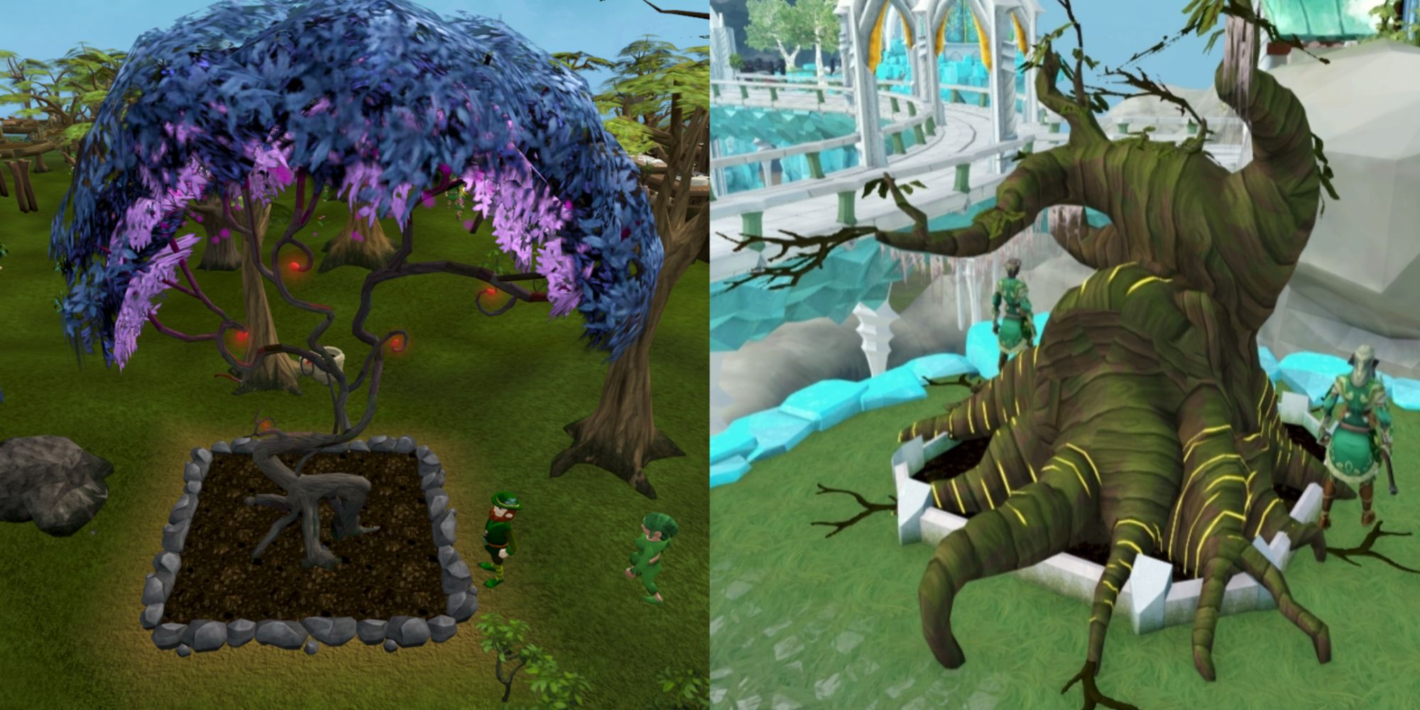 Magic and Elder trees for Woodcutting in RuneScape 3