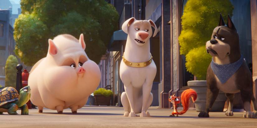 DC League of Super-Pets Team