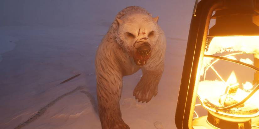 Dread Hunger - Polar Bear and Lantern