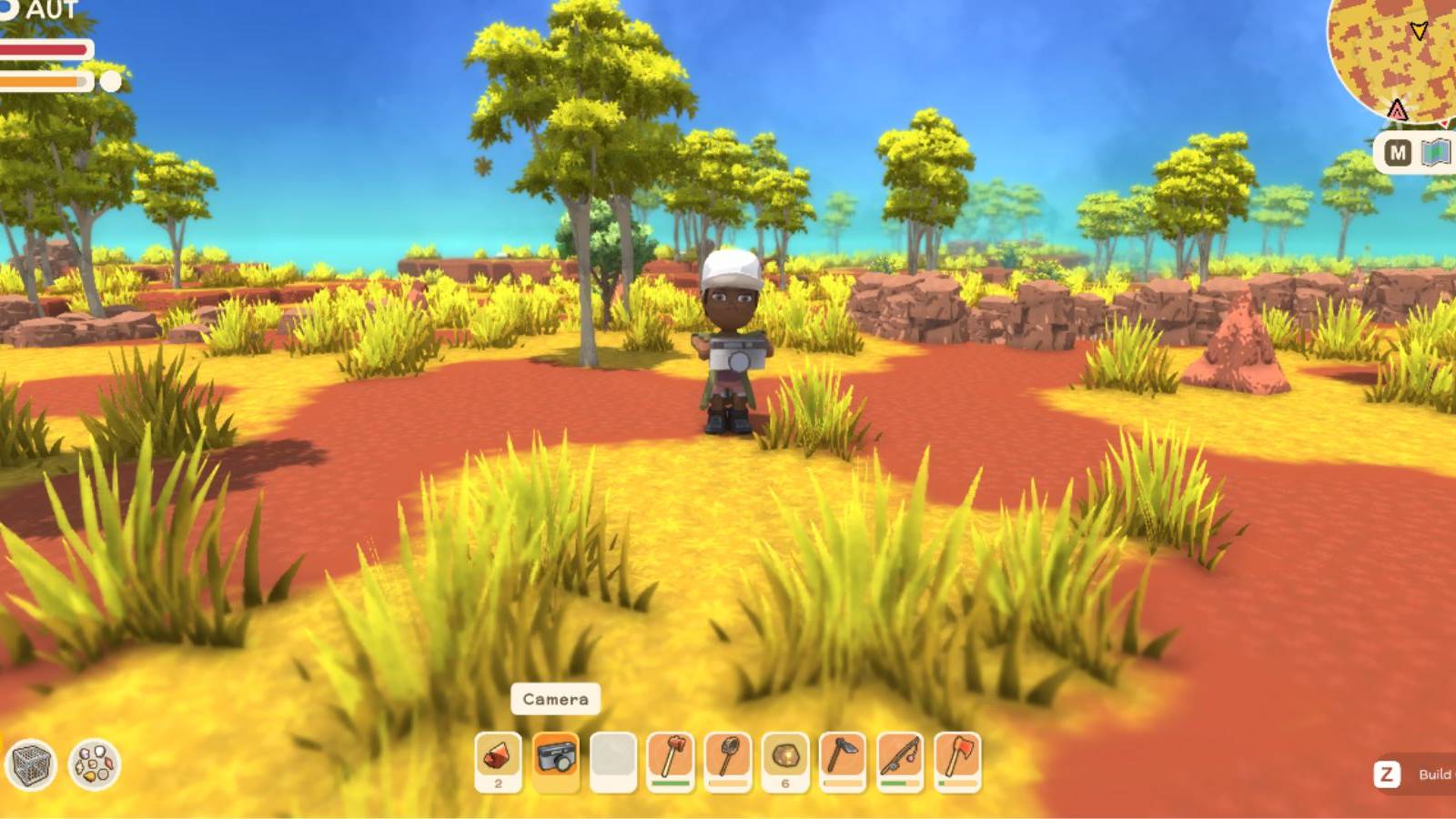 Dinkum Holding Camera