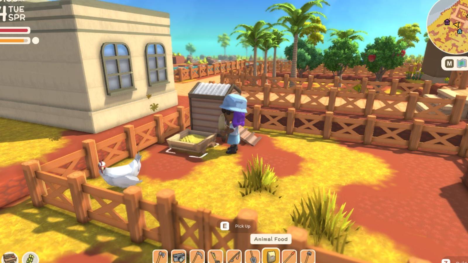 Dinkum Handling Chooks