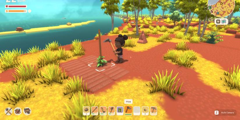 Dinkum Planting Seeds With A Hoe