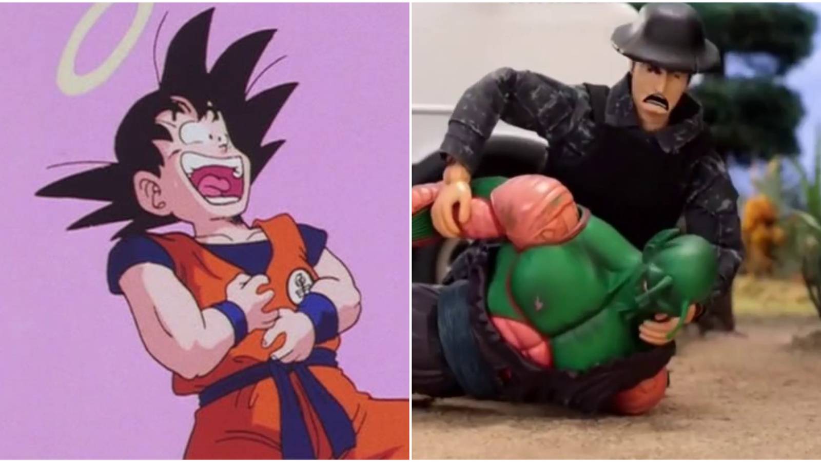 Dragon Ball Parodies in Western Animation