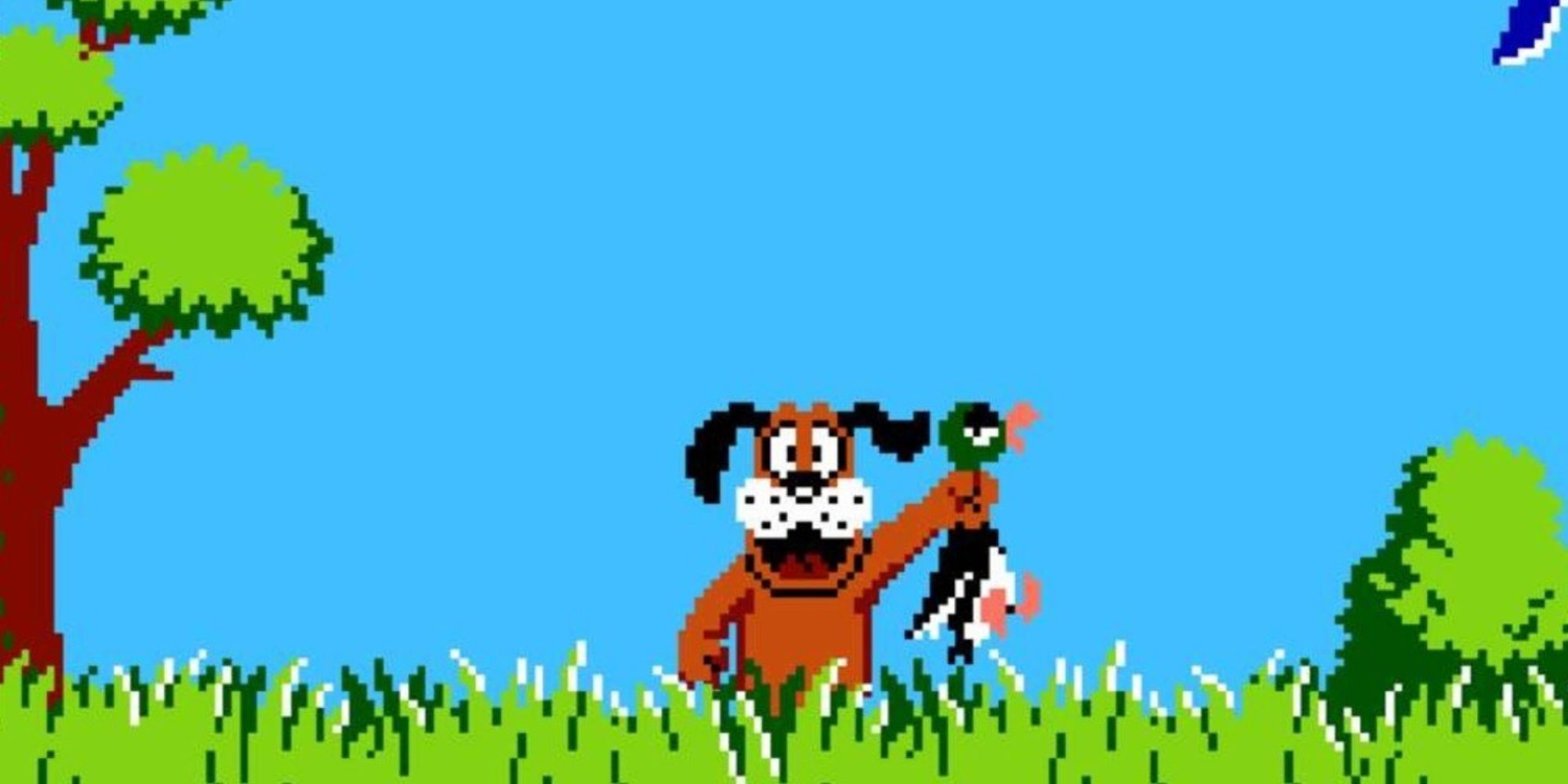 Duck Hunt