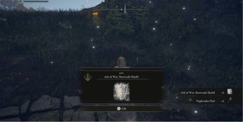 Elden Ring Barricade Shield was a great boost for the average shield