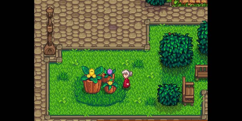 Evelyn Stardew Valley