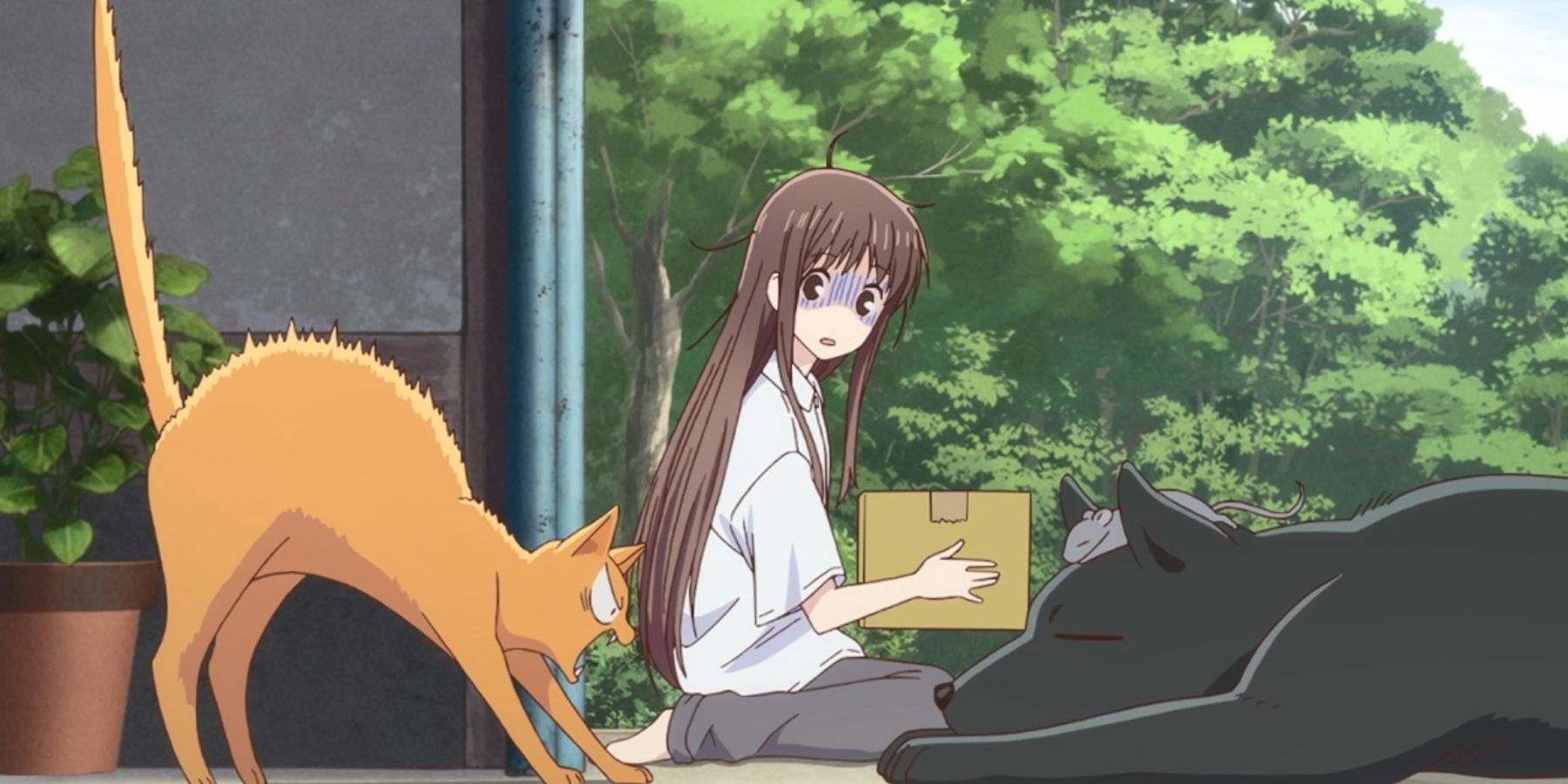 Fruits Basket_Anime_Cat & Dog